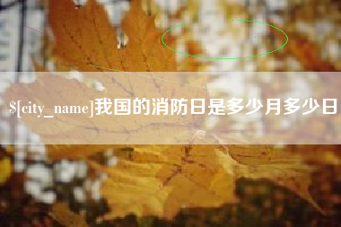 兰考我国的消防日是多少月多少日