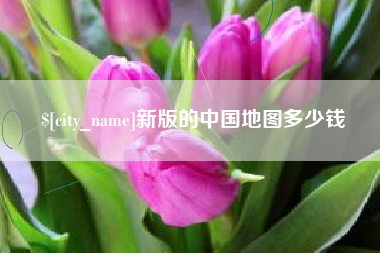 兰考新版的中国地图多少钱