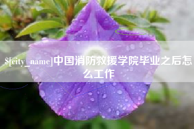 兰考中国消防救援学院毕业之后怎么工作