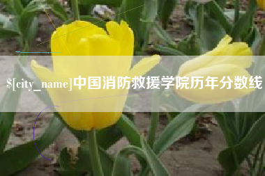 兰考中国消防救援学院历年分数线