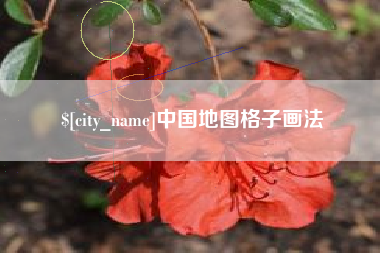 兰考中国地图格子画法