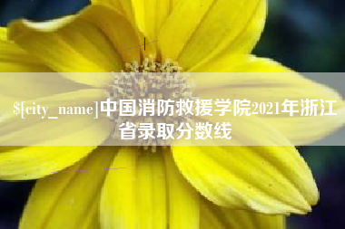 兰考中国消防救援学院2021年浙江省录取分数线