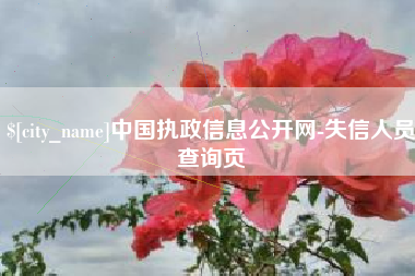 兰考中国执政信息公开网-失信人员查询页