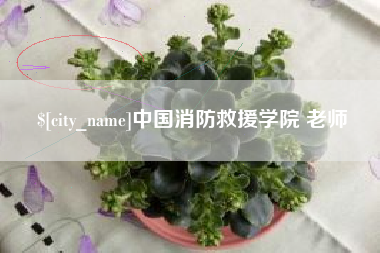 兰考中国消防救援学院 老师
