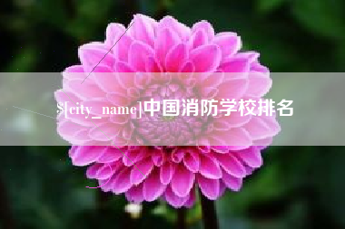 兰考中国消防学校排名