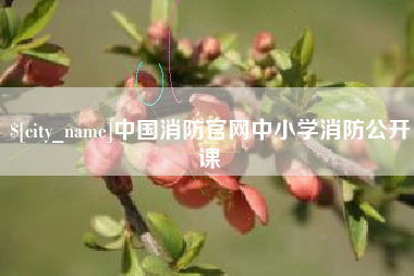 兰考中国消防官网中小学消防公开课