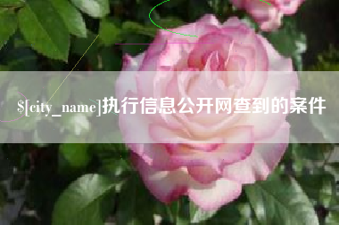 兰考执行信息公开网查到的案件