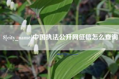 兰考中国执法公开网征信怎么查询