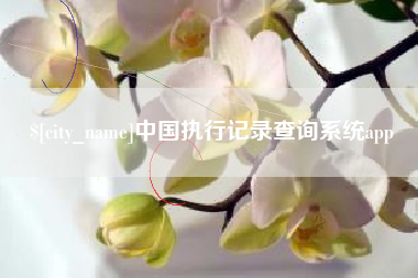 兰考中国执行记录查询系统app