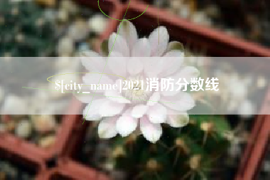 兰考2021消防分数线