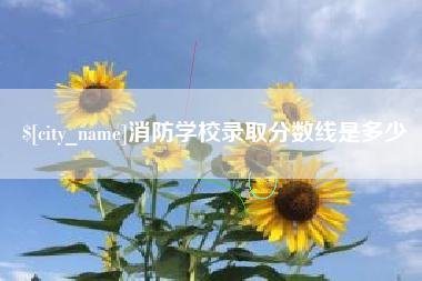 兰考消防学校录取分数线是多少