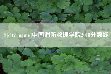 兰考中国消防救援学院2018分数线