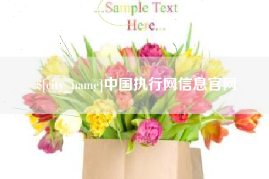 兰考中国执行网信息官网