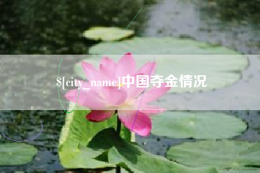 兰考中国夺金情况