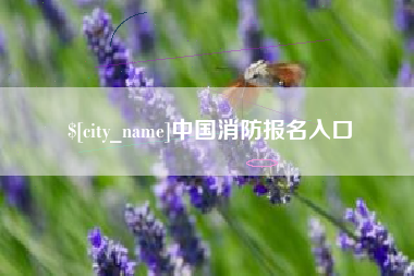 兰考中国消防报名入口