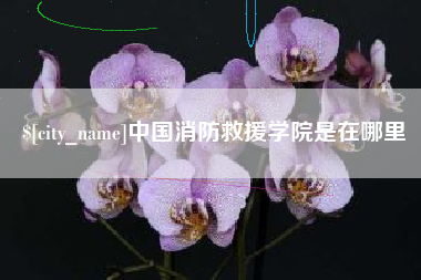 兰考中国消防救援学院是在哪里