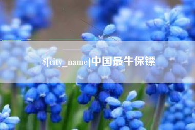 兰考中国最牛保镖