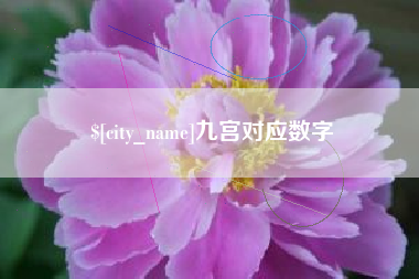 兰考九宫对应数字