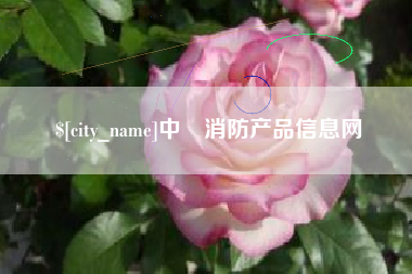 兰考中囯消防产品信息网