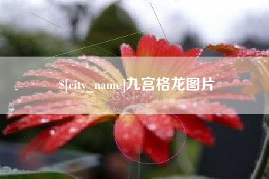 兰考九宫格龙图片