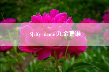 兰考九金是谁 兰考九金是谁