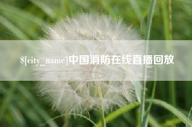 兰考中国消防在线直播回放