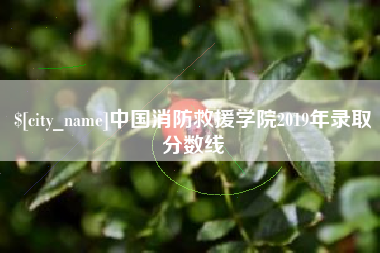 兰考中国消防救援学院2019年录取分数线