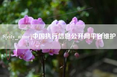 兰考中国执行信息公开网平台维护
