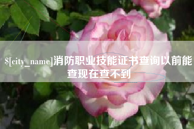 兰考消防职业技能证书查询以前能查现在查不到