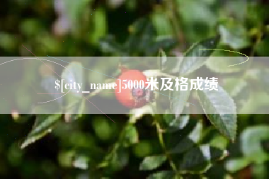 兰考5000米及格成绩