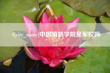 兰考中国消防学院是军校吗
