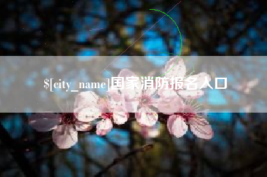 兰考国家消防报名入口