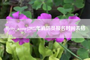 兰考2025年消防员报名时间表格