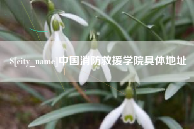 兰考中国消防救援学院具体地址