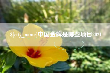 兰考中国金牌是哪些项目2021