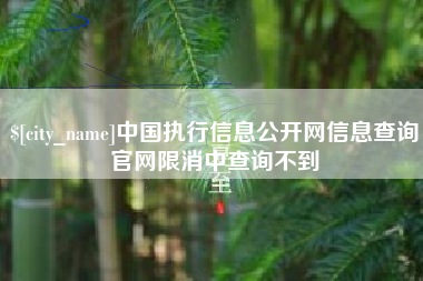 兰考中国执行信息公开网信息查询官网限消中查询不到
