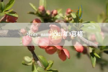兰考2021年9宫格