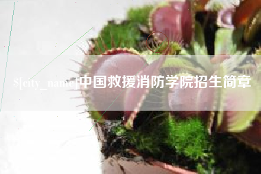 兰考中国救援消防学院招生简章