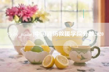 兰考中国消防救援学院分数2020