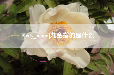 兰考九金指的是什么