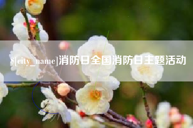 兰考消防日全国消防日主题活动
