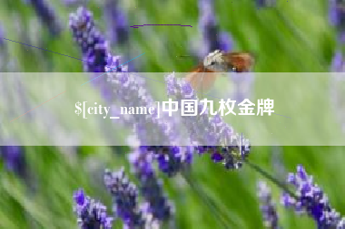 兰考中国九枚金牌