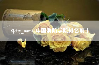 兰考中国消防学院排名前十