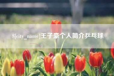 兰考王子豪个人简介乒乓球