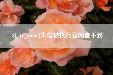 兰考失信被执行官网查不到
