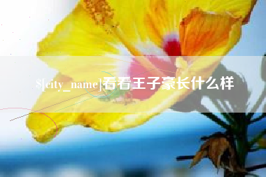 兰考看看王子豪长什么样