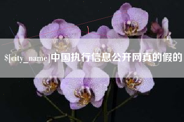 兰考中国执行信息公开网真的假的