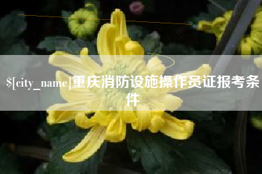 兰考重庆消防设施操作员证报考条件