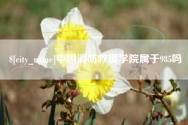 兰考中国消防救援学院属于985吗