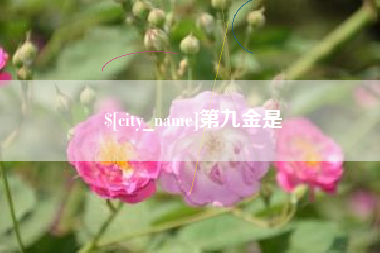 兰考第九金是